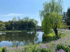 -尚湖风景区