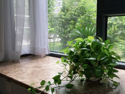 -JC·YOGA静禅瑜伽普拉提