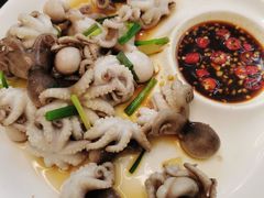 -张鸟园农家乐(张鸟园店)