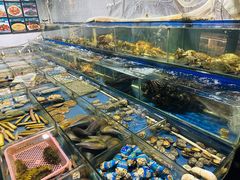 -舟山小海鲜大排档(稻香新村店)