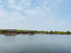 -杭州湾海上花田景区