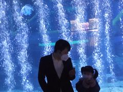 -临沂极地海洋王国