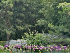 -皇家御河游(紫御湾码头)
