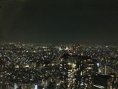 -东京都厅舍