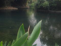-花溪公园
