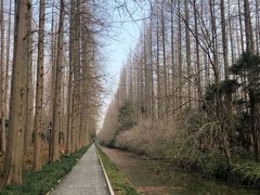 -上海怡沁园度假酒店