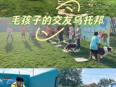 -趣玩宠物乐园寄养训犬训狗游泳池