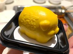 HI芒果小福猪-海底捞火锅(亲子主题北金鹰店)