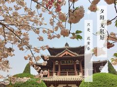-西安青龙寺遗址景区