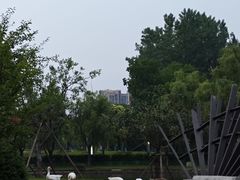 -同济大学(嘉定校区)