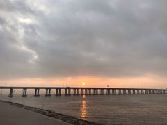 -宝安西湾红树林湿地公园