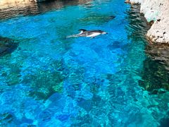-珠海长隆海洋王国