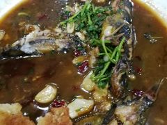 小鱼锅贴-杨辉饭店