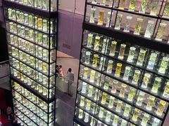 -广东中医药博物馆