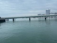 -五缘湾湿地公园
