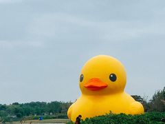 -深圳人才公园