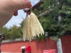 -龙抄手(文殊坊店)