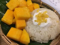 -GOGO Plate(成都太古里店)