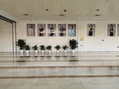 -杭州文化广播电视集团