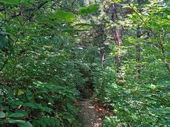 -北京西山国家森林公园