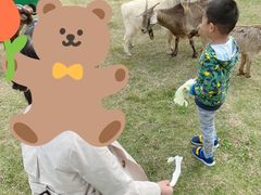 -上方山森林动物世界