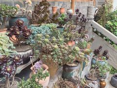 -华冠悠岚·庭院餐厅(青城后山店)