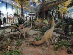 -湖南省地质博物馆