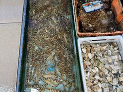 -锐记美食店·现捞海鲜(闸坡店)