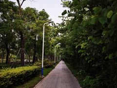 -华侨城湿地公园