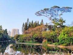 -荔枝公园(福田区)