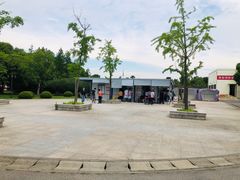 -上海市第一人民医院(松江南部)