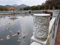 -红山村