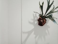 -收获咖啡HARVEST RESERVE(苍山店)