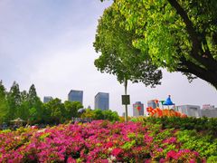 -天鹅湖体育公园