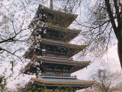 -老通城豆皮大王(吉庆街店)