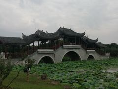 -上海海湾国家森林公园