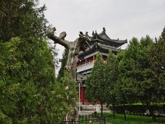 -终南山古楼观历史文化景区