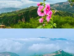-驼梁风景区