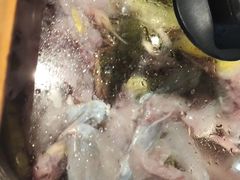 -石锅苗苗鱼(武汉首店)
