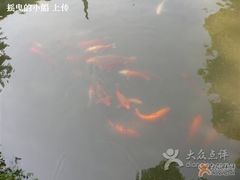 -锦绣天堂大酒店