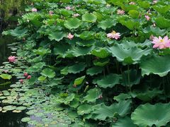 -中国计量大学(西校区)