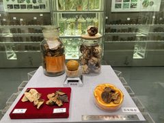 -北京中医药大学-中医药博物馆