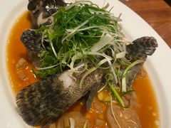 -云龙轩(迪士尼探索家度假酒店)