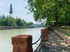 -成都市活水公园