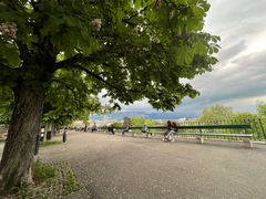 -Bench De La Treille