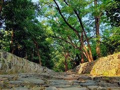 -阳台山自然风景区