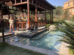 -咸宁万豪温泉谷度假区