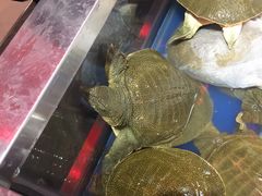 -盒马鲜生(莱蒙都会店)