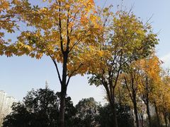 -木塔寺遗址生态公园