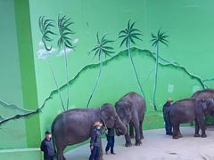 -大连森林动物园